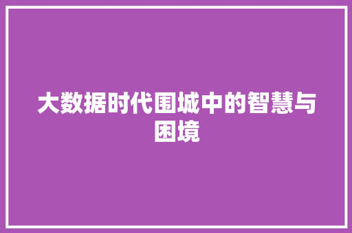 大数据时代围城中的智慧与困境
