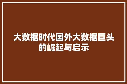 大数据时代国外大数据巨头的崛起与启示 Web前端