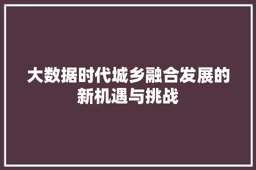 大数据时代城乡融合发展的新机遇与挑战