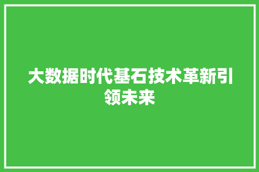 大数据时代基石技术革新引领未来