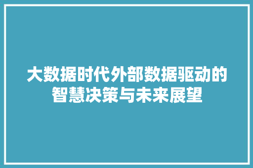 大数据时代外部数据驱动的智慧决策与未来展望