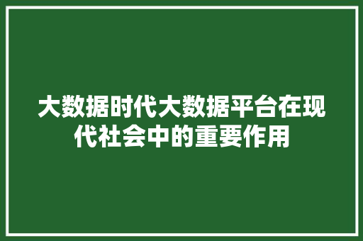 大数据时代大数据平台在现代社会中的重要作用