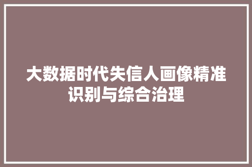 大数据时代失信人画像精准识别与综合治理