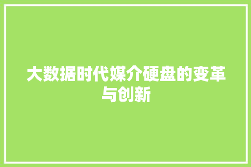 大数据时代媒介硬盘的变革与创新