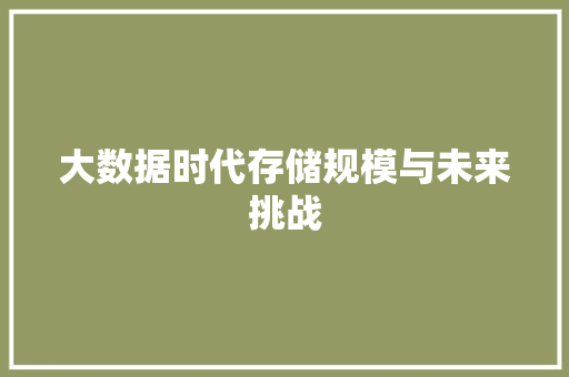 大数据时代存储规模与未来挑战
