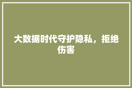 大数据时代守护隐私，拒绝伤害