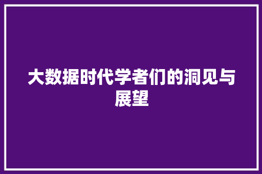 大数据时代学者们的洞见与展望