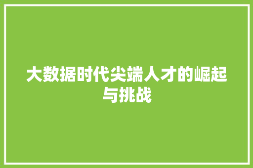 大数据时代尖端人才的崛起与挑战 大数据时代尖端人才的崛起与挑战