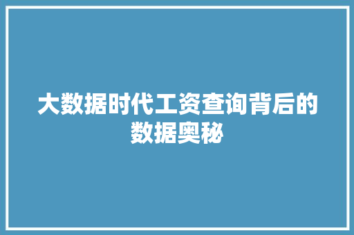 大数据时代工资查询背后的数据奥秘