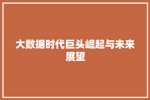 大数据时代巨头崛起与未来展望