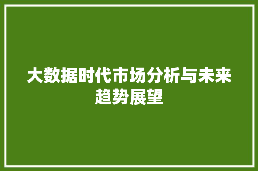 大数据时代市场分析与未来趋势展望
