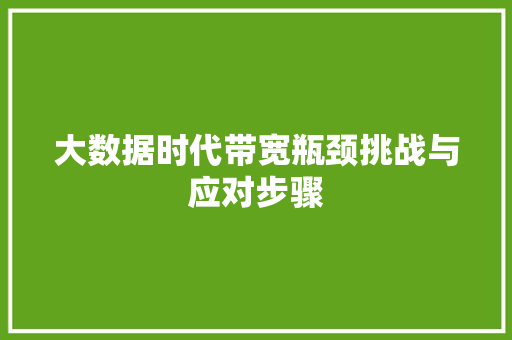 大数据时代带宽瓶颈挑战与应对步骤