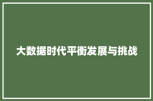 大数据时代平衡发展与挑战