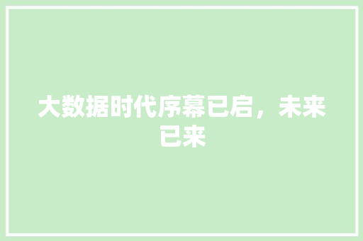 大数据时代序幕已启，未来已来