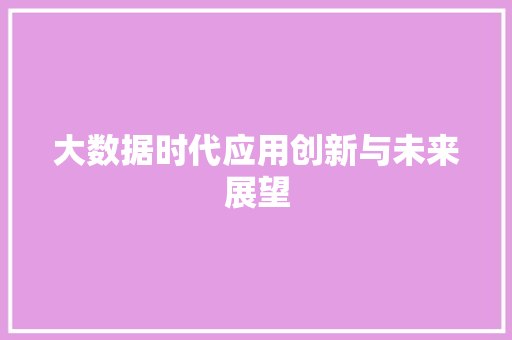 大数据时代应用创新与未来展望
