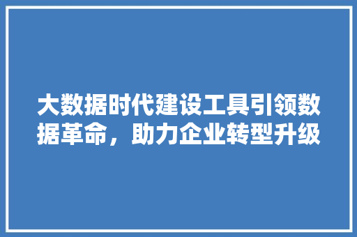 大数据时代建设工具引领数据革命，助力企业转型升级