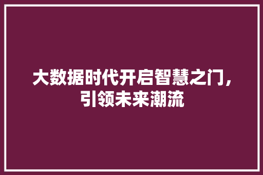 大数据时代开启智慧之门，引领未来潮流