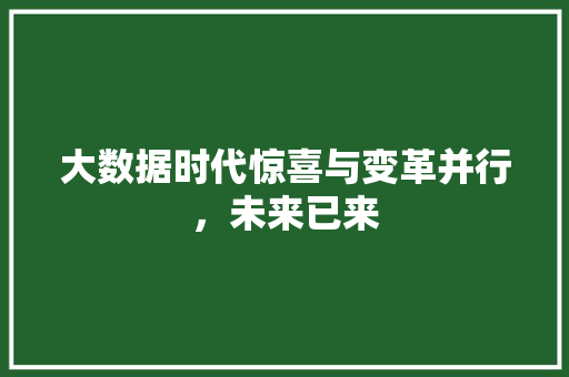 大数据时代惊喜与变革并行,未来已来 大数据时代惊喜与变革并行,未来已来