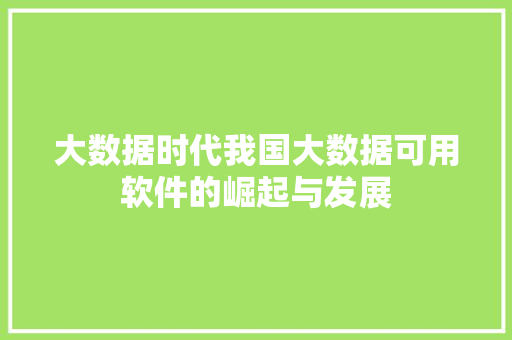 大数据时代我国大数据可用软件的崛起与发展 大数据时代我国大数据可用软件的崛起与发展