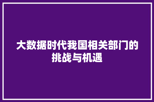 大数据时代我国相关部门的挑战与机遇 大数据时代我国相关部门的挑战与机遇