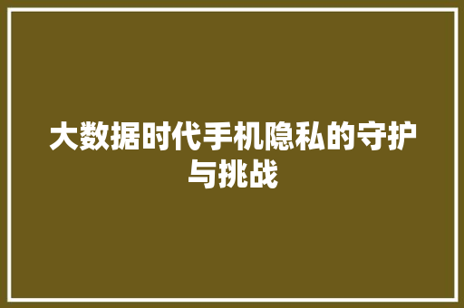 大数据时代手机隐私的守护与挑战