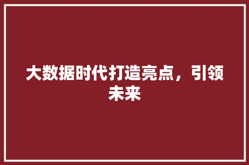 大数据时代打造亮点，引领未来