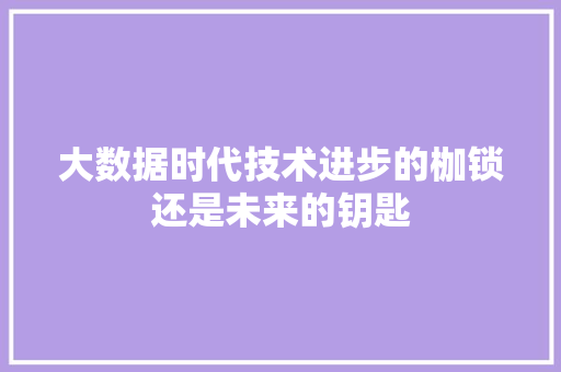 大数据时代技术进步的枷锁还是未来的钥匙