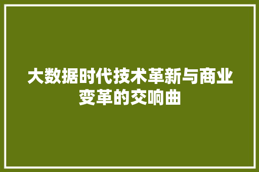大数据时代技术革新与商业变革的交响曲