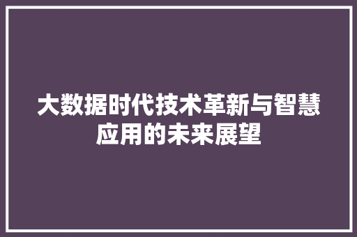 大数据时代技术革新与智慧应用的未来展望