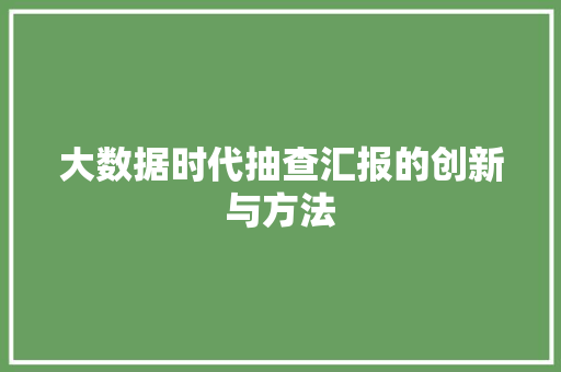 大数据时代抽查汇报的创新与方法