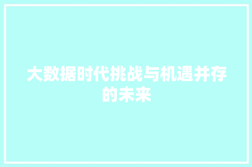 大数据时代挑战与机遇并存的未来