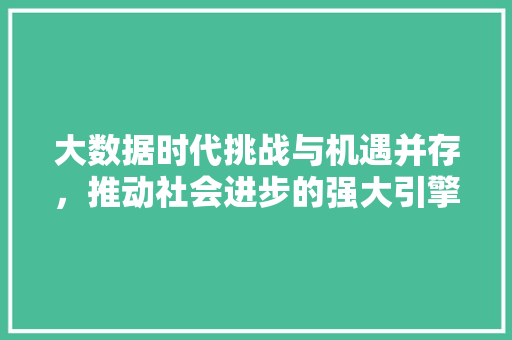大数据时代挑战与机遇并存，推动社会进步的强大引擎
