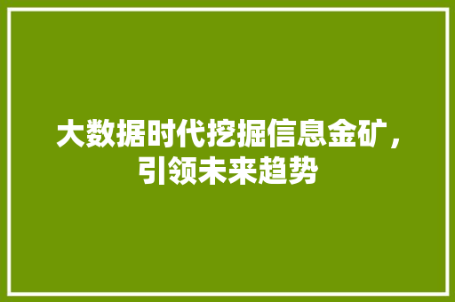 大数据时代挖掘信息金矿，引领未来趋势