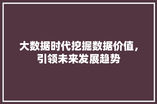 大数据时代挖掘数据价值，引领未来发展趋势