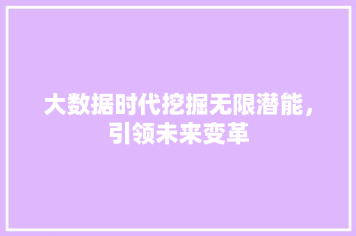 大数据时代挖掘无限潜能，引领未来变革