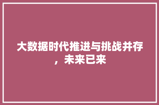 大数据时代推进与挑战并存，未来已来