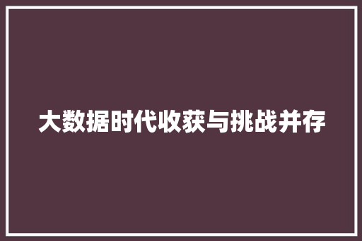 大数据时代收获与挑战并存