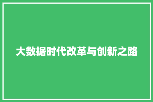 大数据时代改革与创新之路 WordPress教程