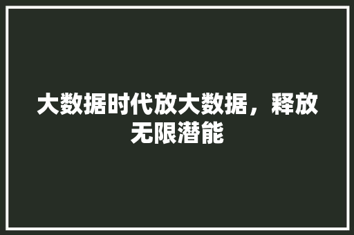 大数据时代放大数据，释放无限潜能
