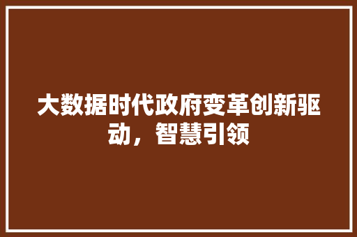 大数据时代政府变革创新驱动，智慧引领