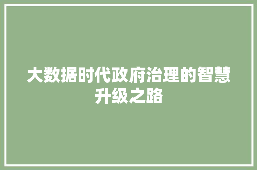 大数据时代政府治理的智慧升级之路