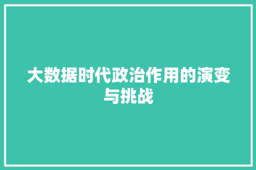 大数据时代政治作用的演变与挑战 SEO教程