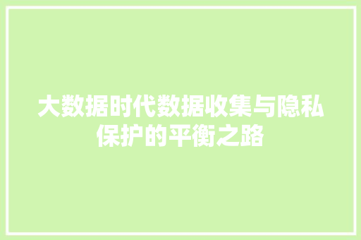 大数据时代数据收集与隐私保护的平衡之路