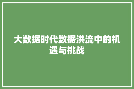 大数据时代数据洪流中的机遇与挑战