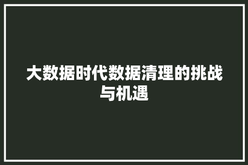 大数据时代数据清理的挑战与机遇 友链在线