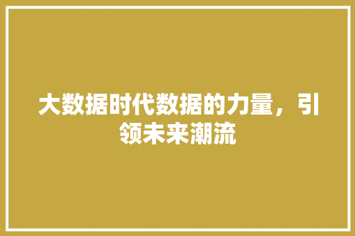 大数据时代数据的力量，引领未来潮流