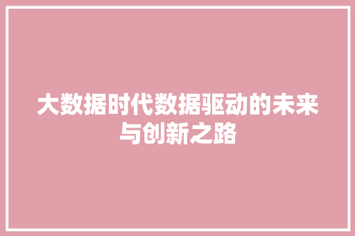 大数据时代数据驱动的未来与创新之路