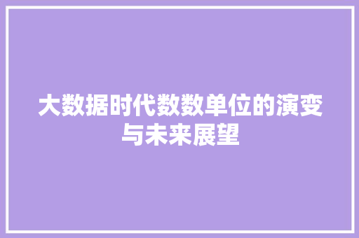 大数据时代数数单位的演变与未来展望