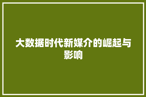 大数据时代新媒介的崛起与影响