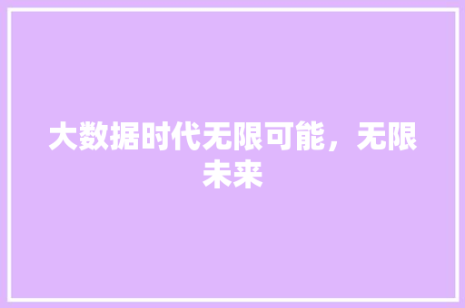 大数据时代无限可能，无限未来